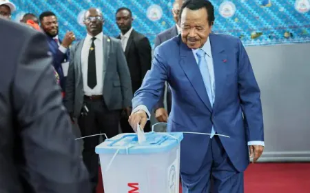 Huile de CBD en Teinture : Une Solution Naturelle pour l’Équilibre et le Bien-Être